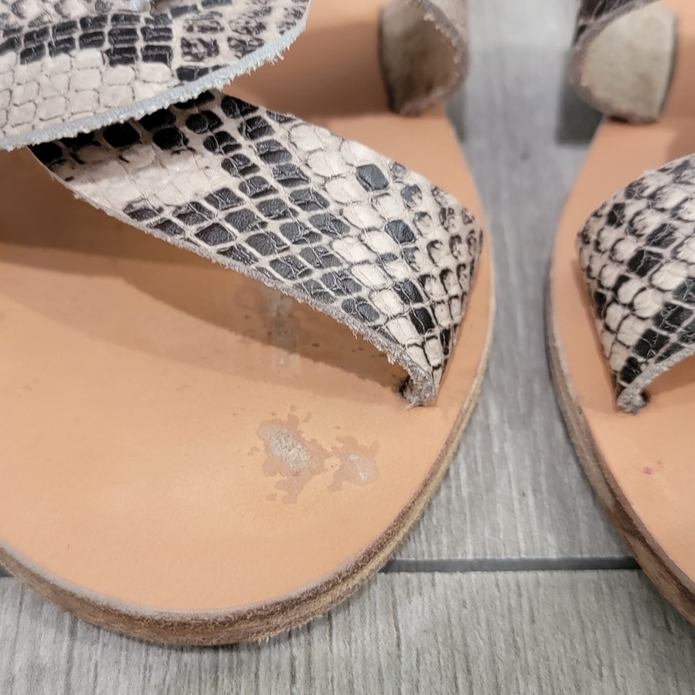 Ancient Greek Sandals Desmos snake effect slides 36 - Picture 4 of 5